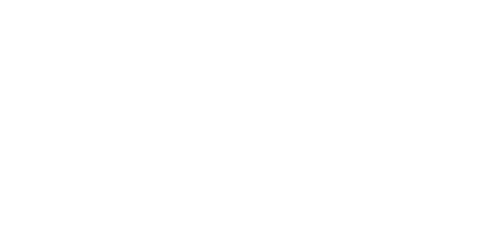 Lane Gorman Trubitt, Accountants and Advisors